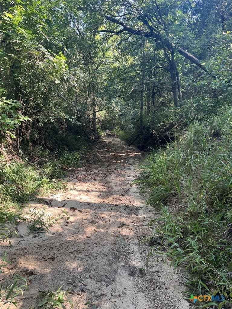 21.69 acres in Milam County - photo 4