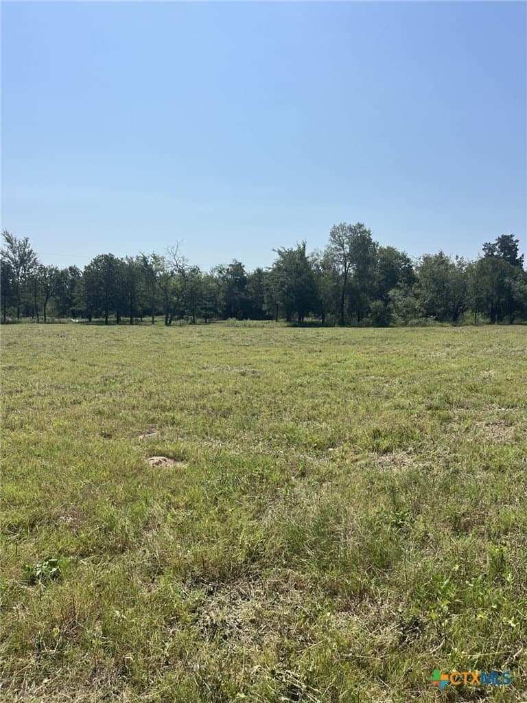 21.69 acres in Milam County - photo 6