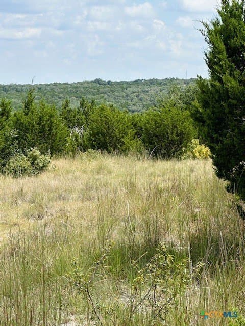 1.28 acres in Comal County - photo 8