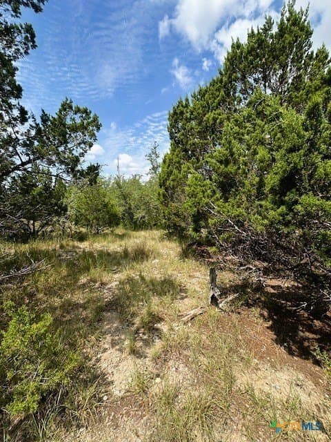 1.28 acres in Comal County - photo 7