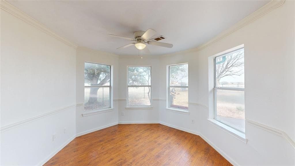 11 acres in Collin County - photo 5