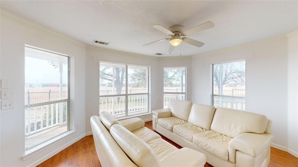 11 acres in Collin County - photo 3