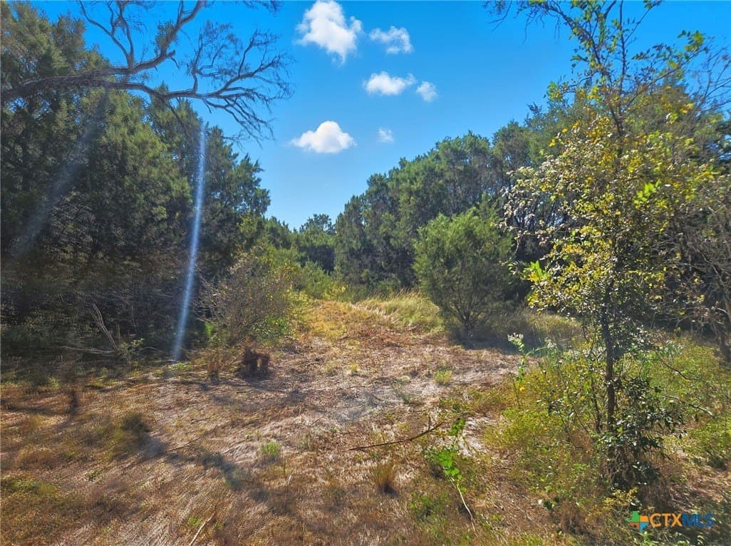 22 acres in Coryell County - photo 19