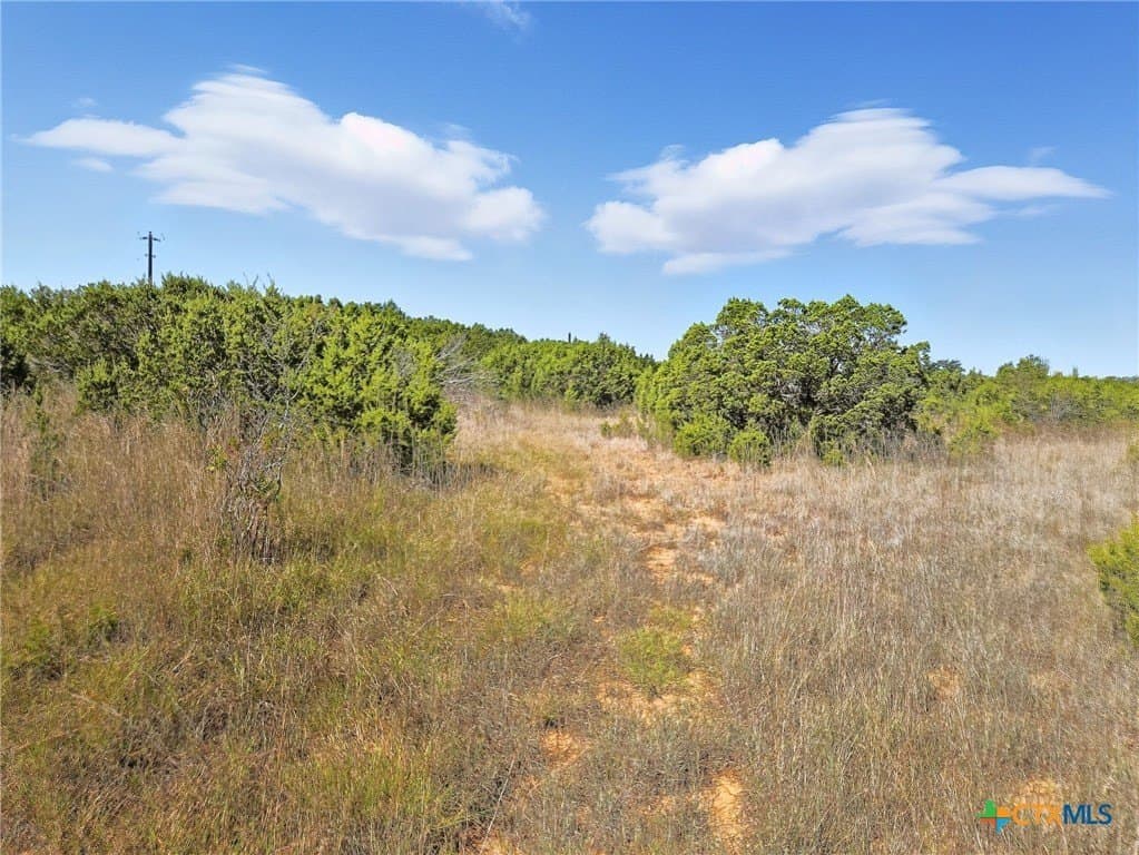 22 acres in Coryell County - photo 31