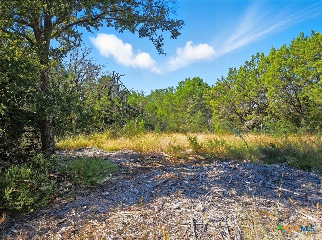 22 acres in Coryell County - photo 20