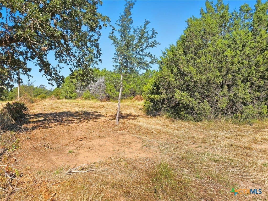 22 acres in Coryell County - photo 9