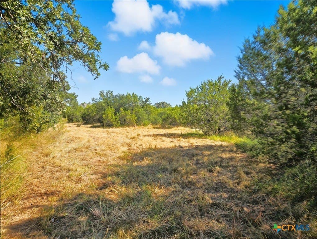 22 acres in Coryell County - photo 2