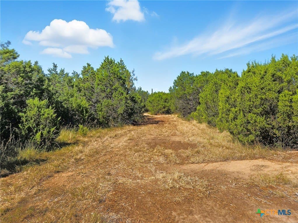 22 acres in Coryell County - photo 33