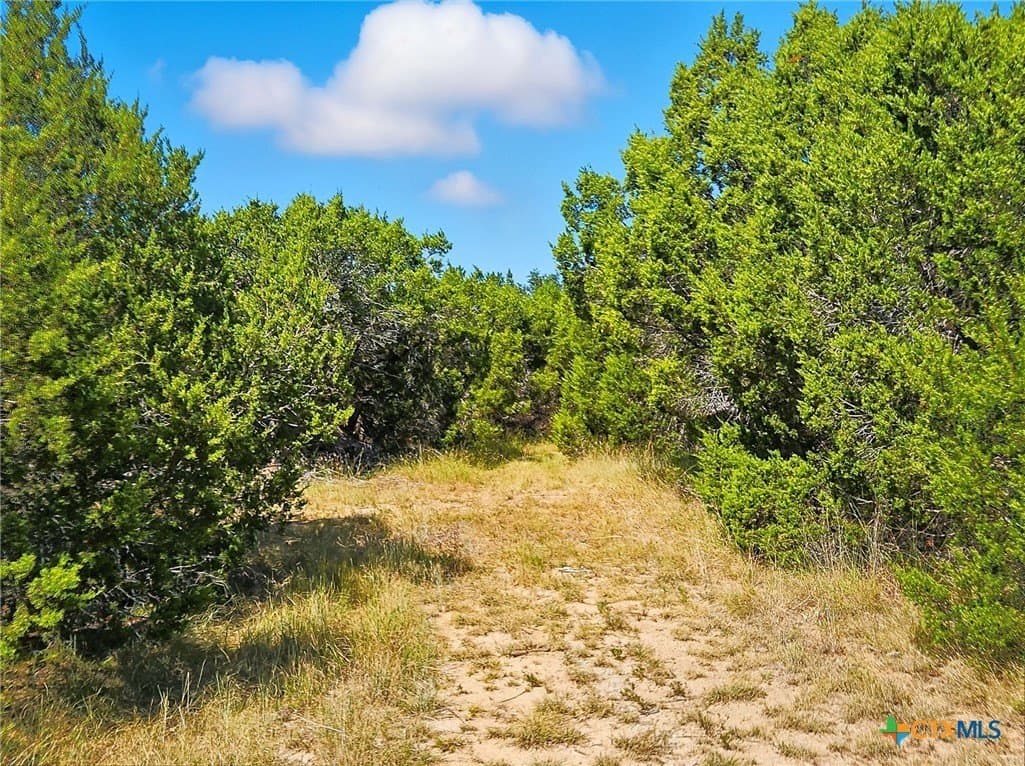 22 acres in Coryell County - photo 28