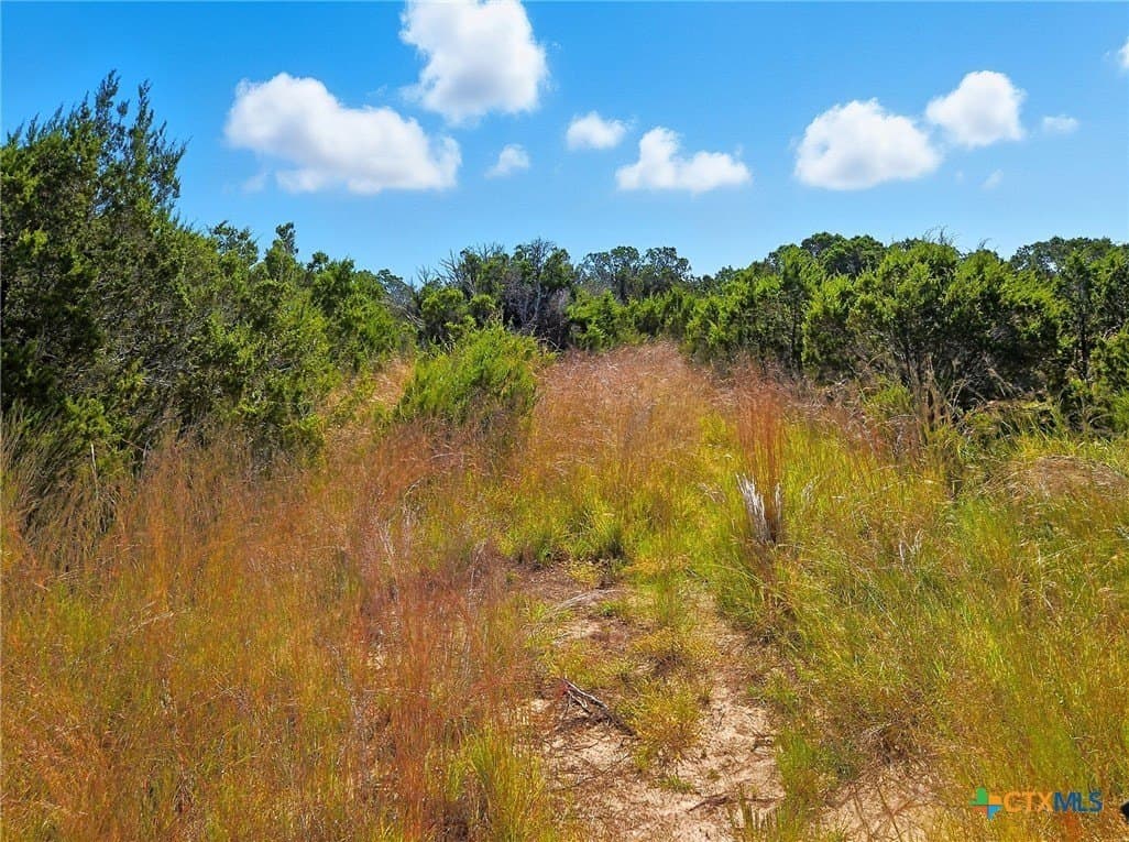 22 acres in Coryell County - photo 11
