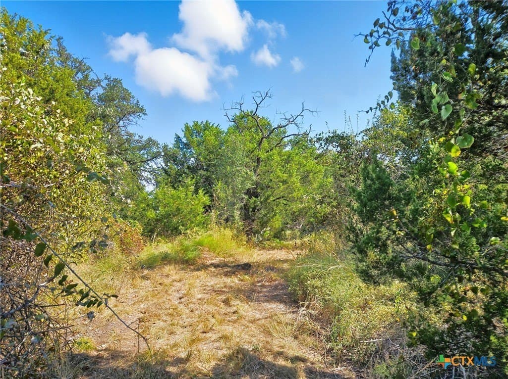 22 acres in Coryell County - photo 16
