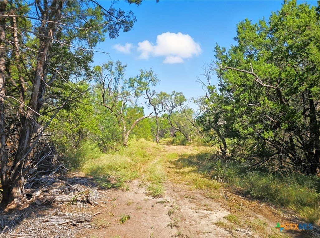 22 acres in Coryell County - photo 30
