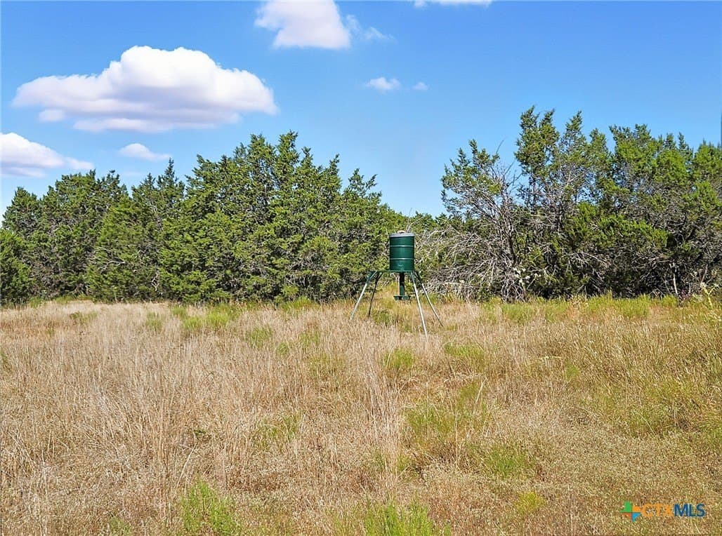 22 acres in Coryell County - photo 25