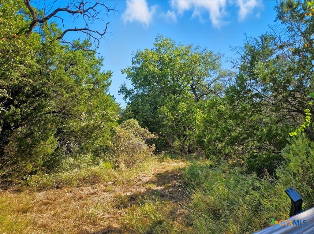 22 acres in Coryell County - photo 17