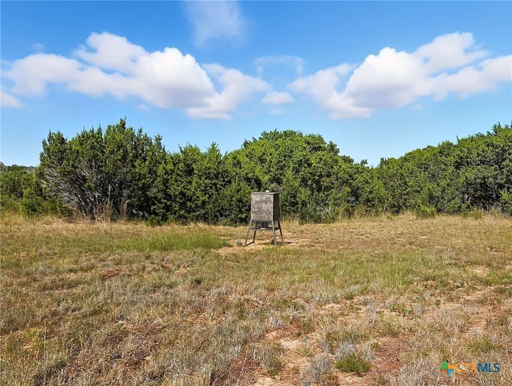 22 acres in Coryell County - photo 13