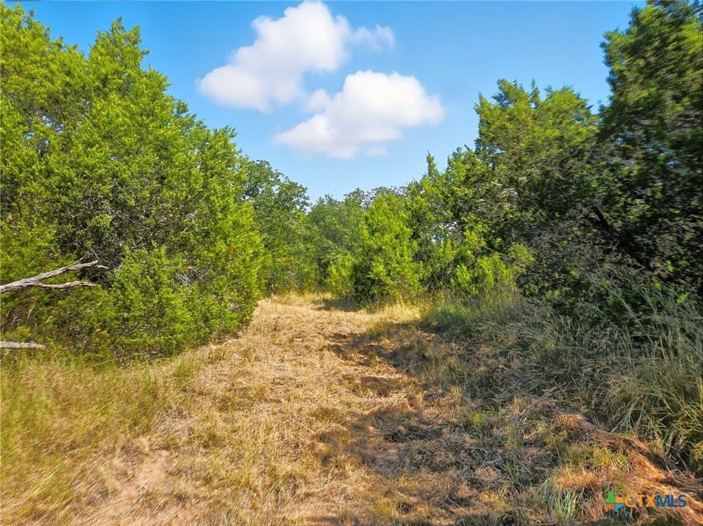 22 acres in Coryell County - photo 15