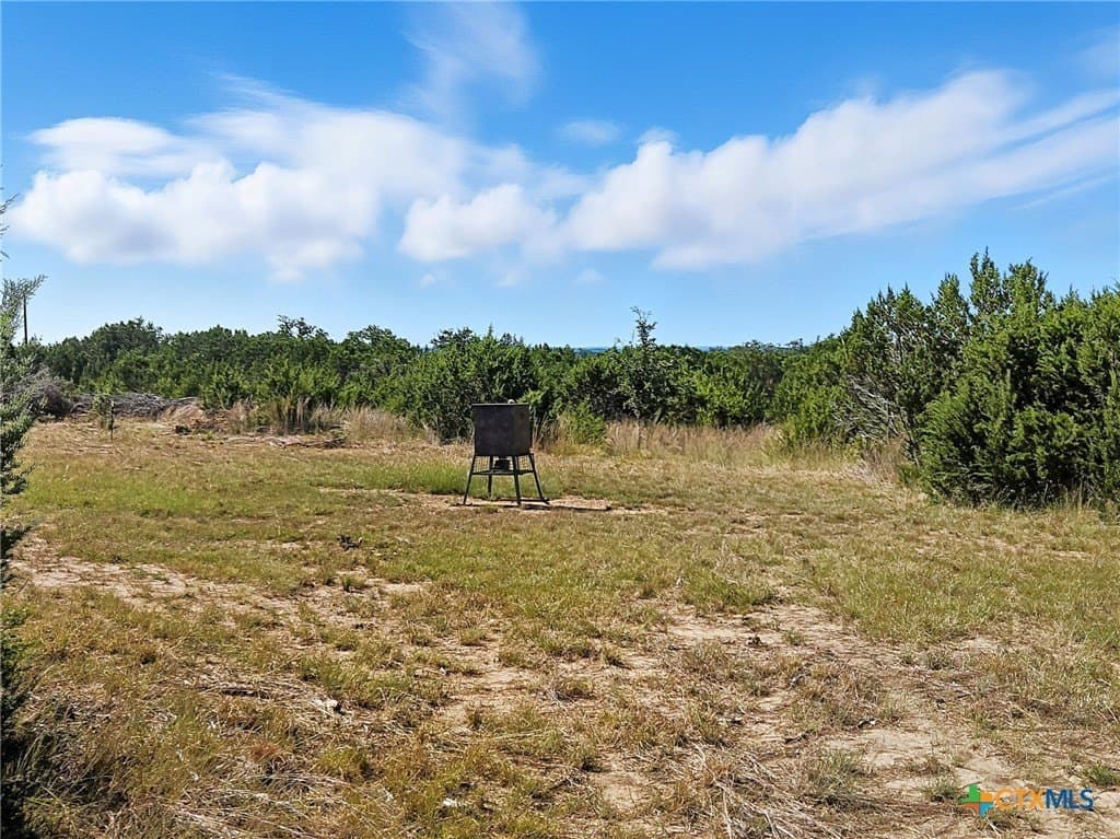 22 acres in Coryell County - photo 29