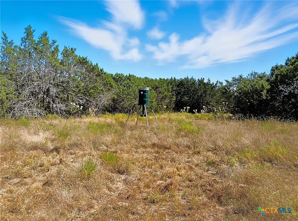 22 acres in Coryell County - photo 24