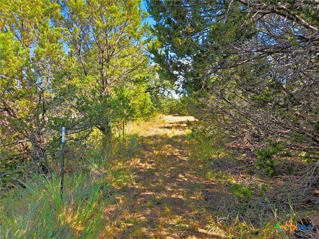 22 acres in Coryell County - photo 10