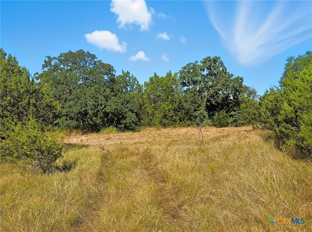 22 acres in Coryell County - photo 14