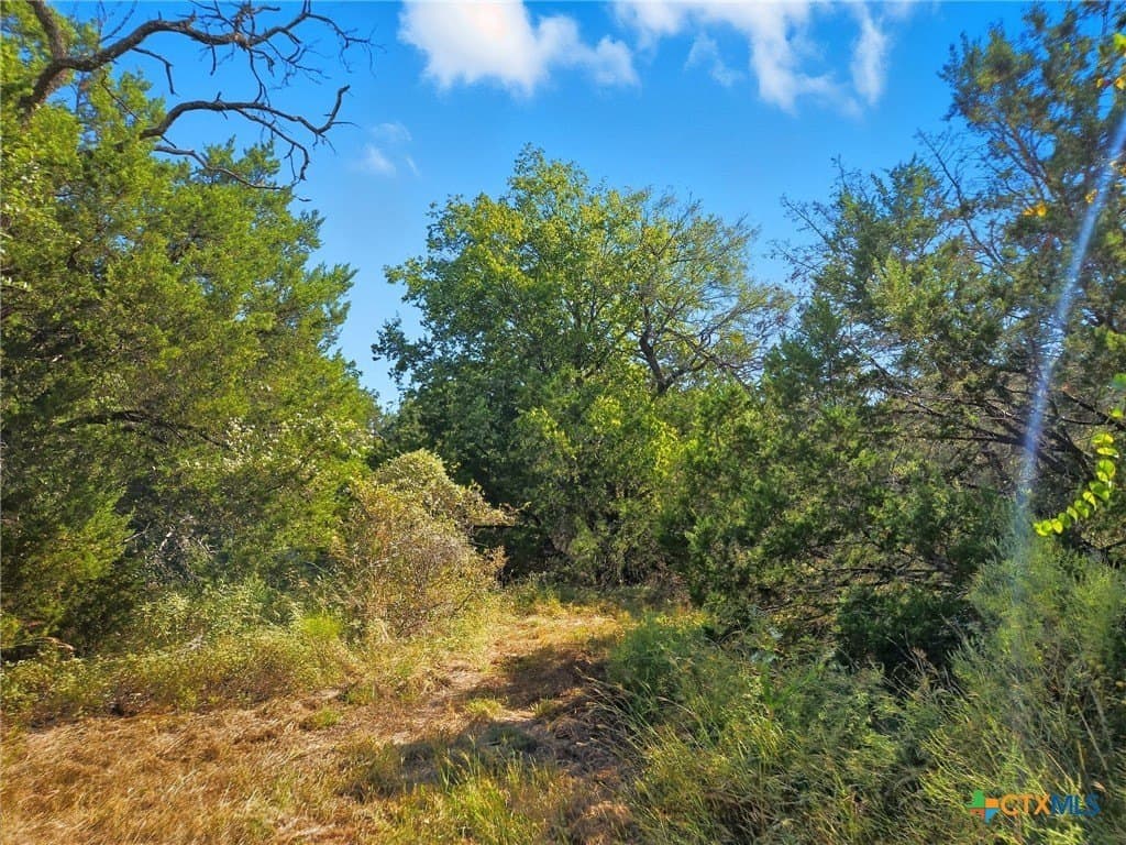 22 acres in Coryell County - photo 18