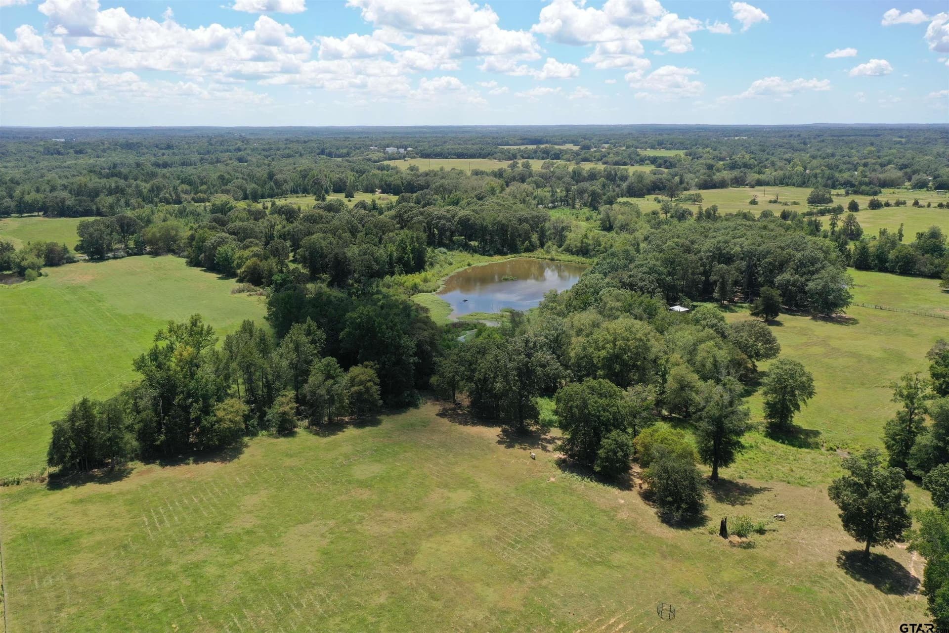 93.11 acres in Camp County - photo 10