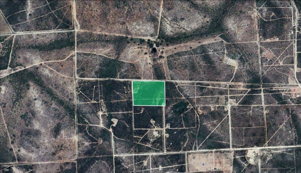 10.38 acres in Live Oak County - photo 3