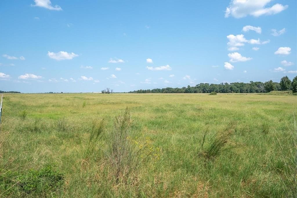 15.77 acres in Van Zandt County - photo 8
