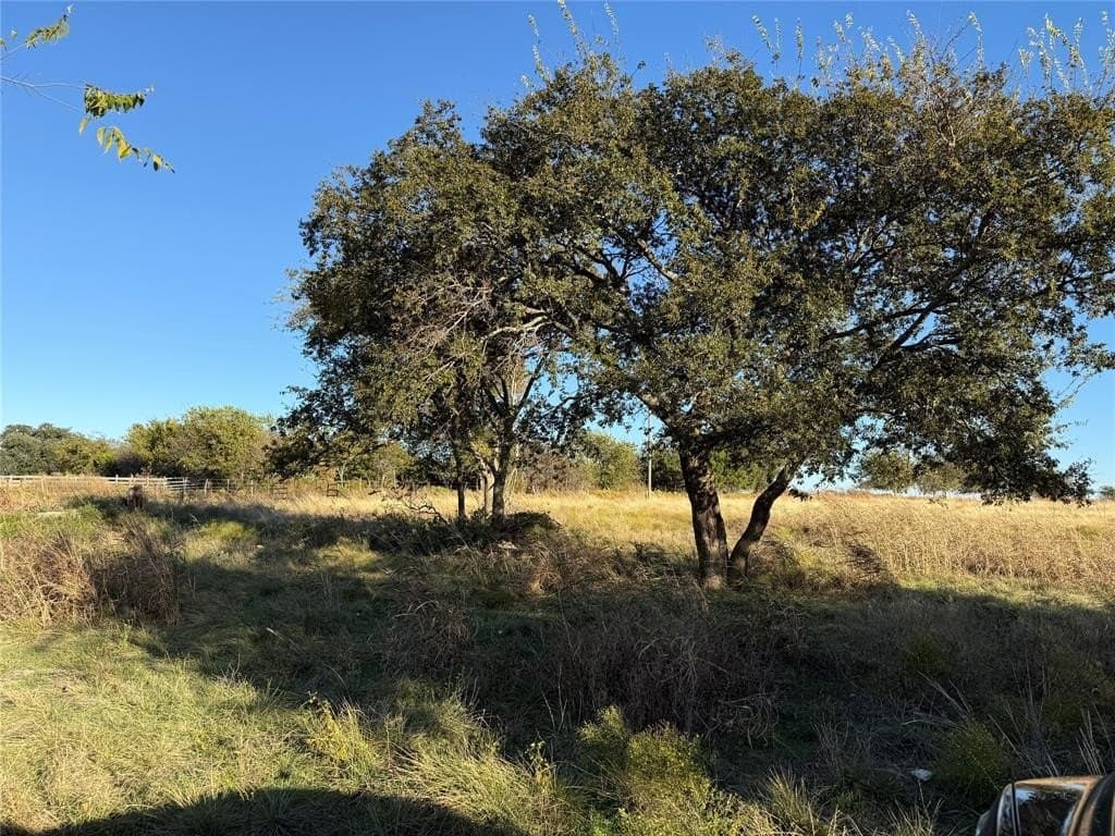 45.23 acres in Coryell County - photo 7