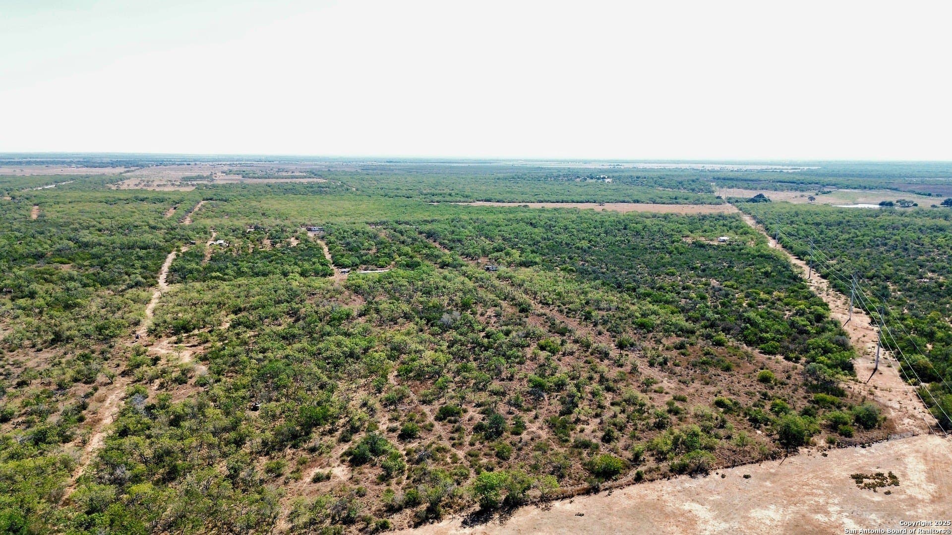 10.2 acres in Atascosa County - photo 4