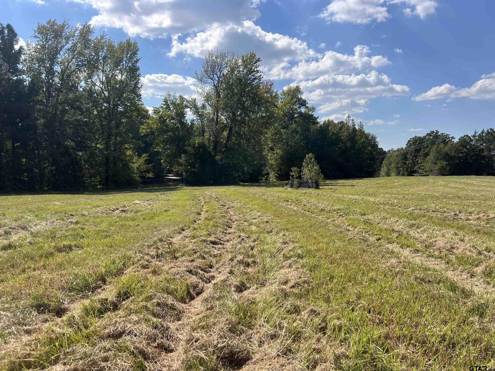 35.22 acres in Cass County - photo 29