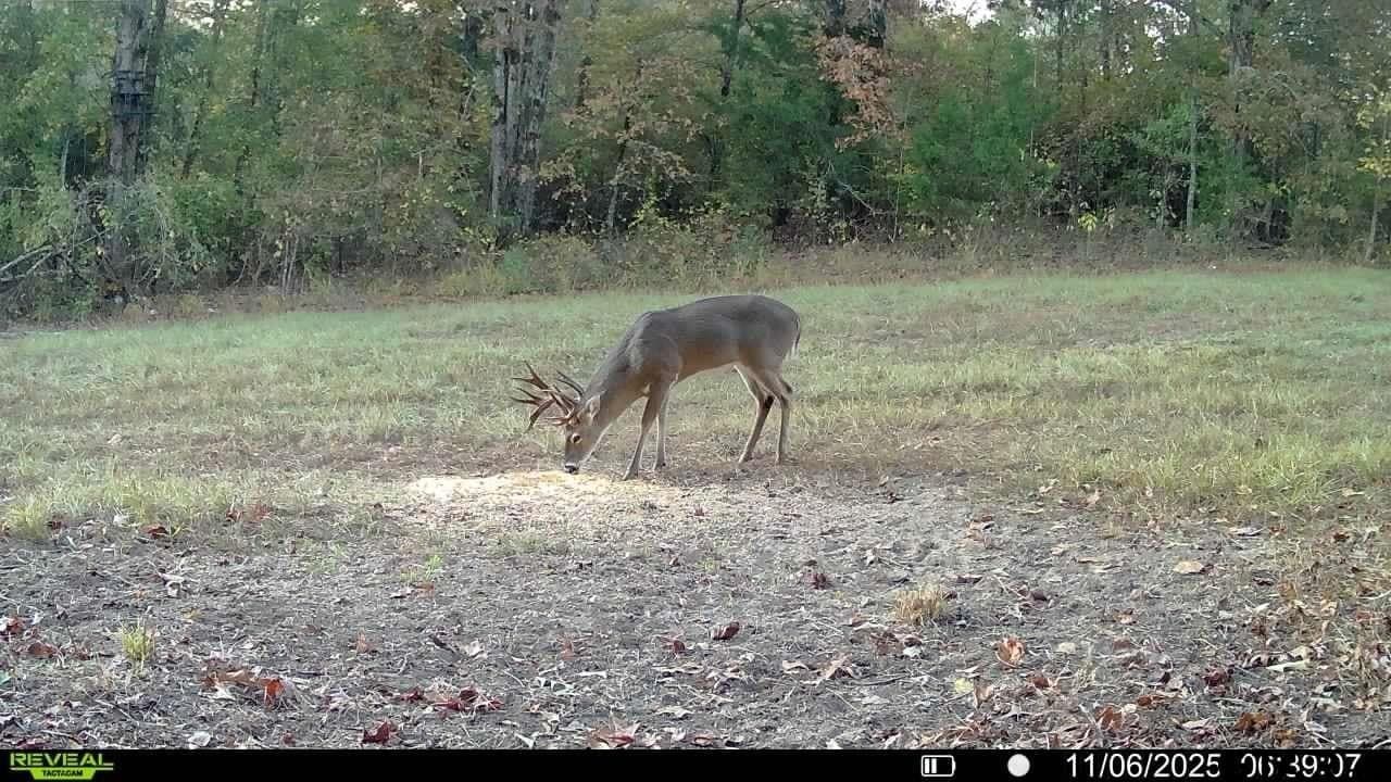 35.22 acres in Cass County - photo 10