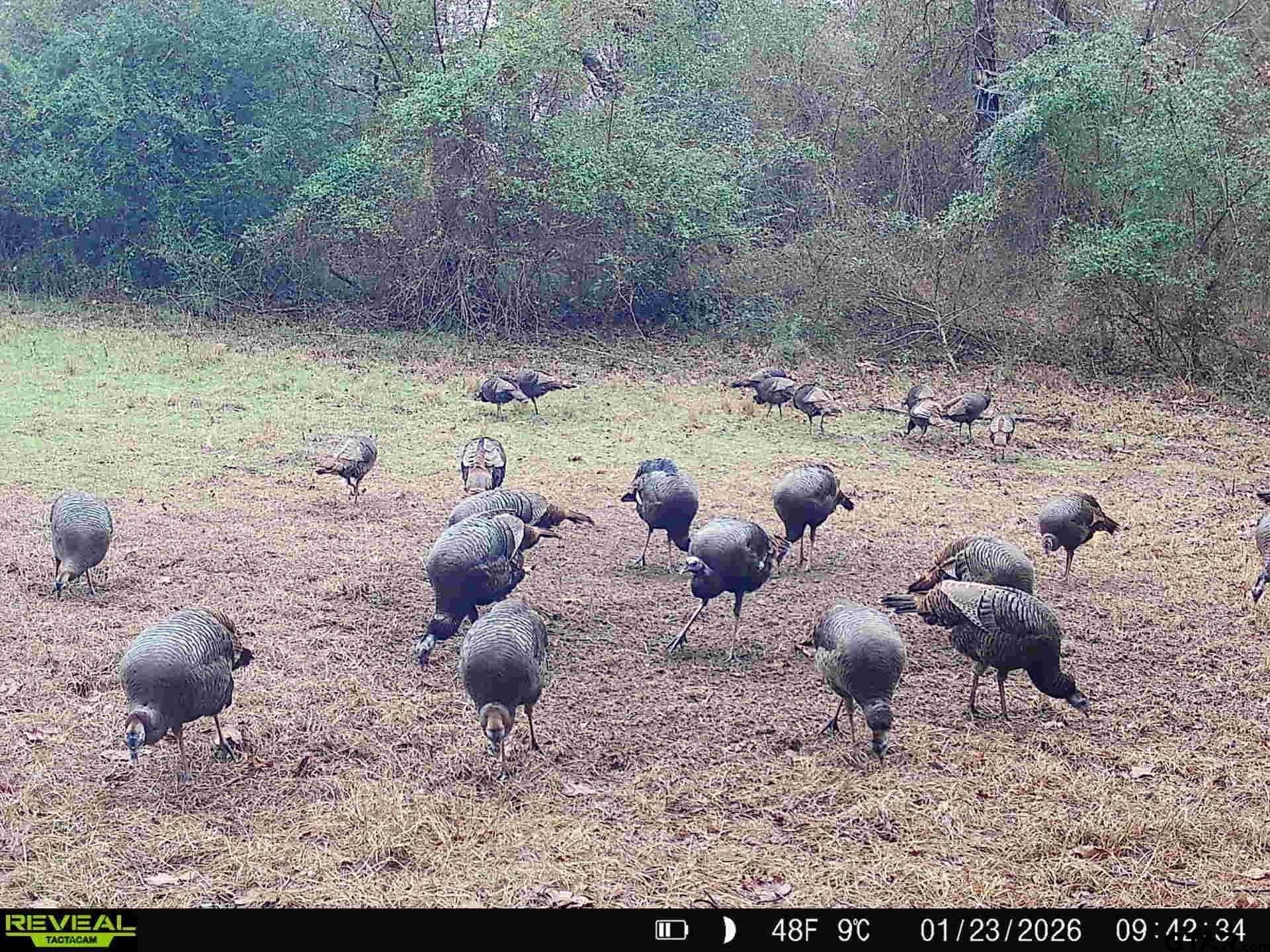 35.22 acres in Cass County - photo 32