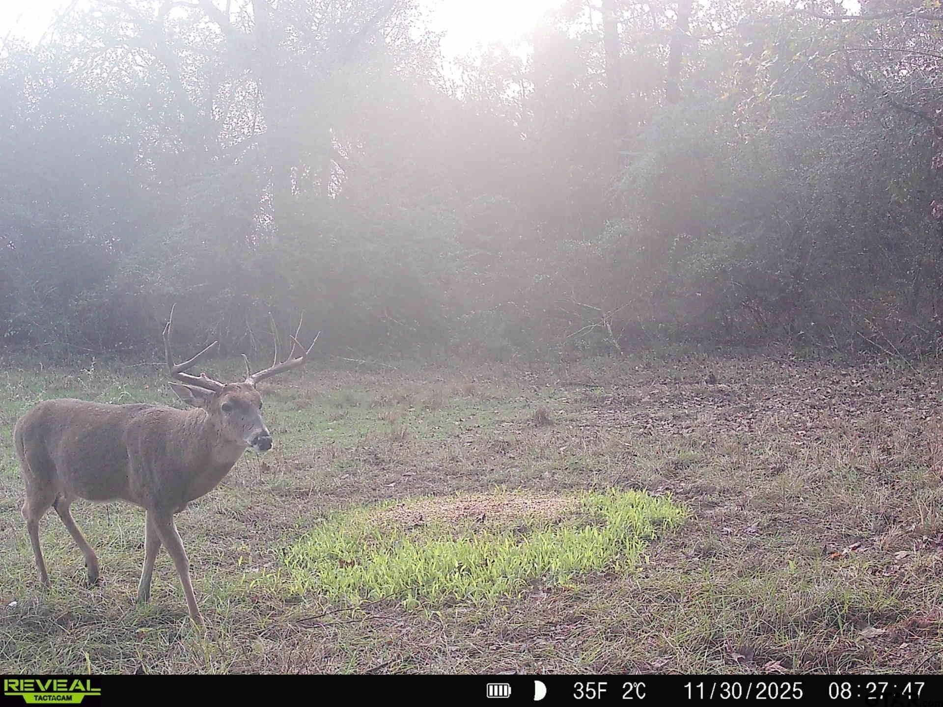 35.22 acres in Cass County - photo 13
