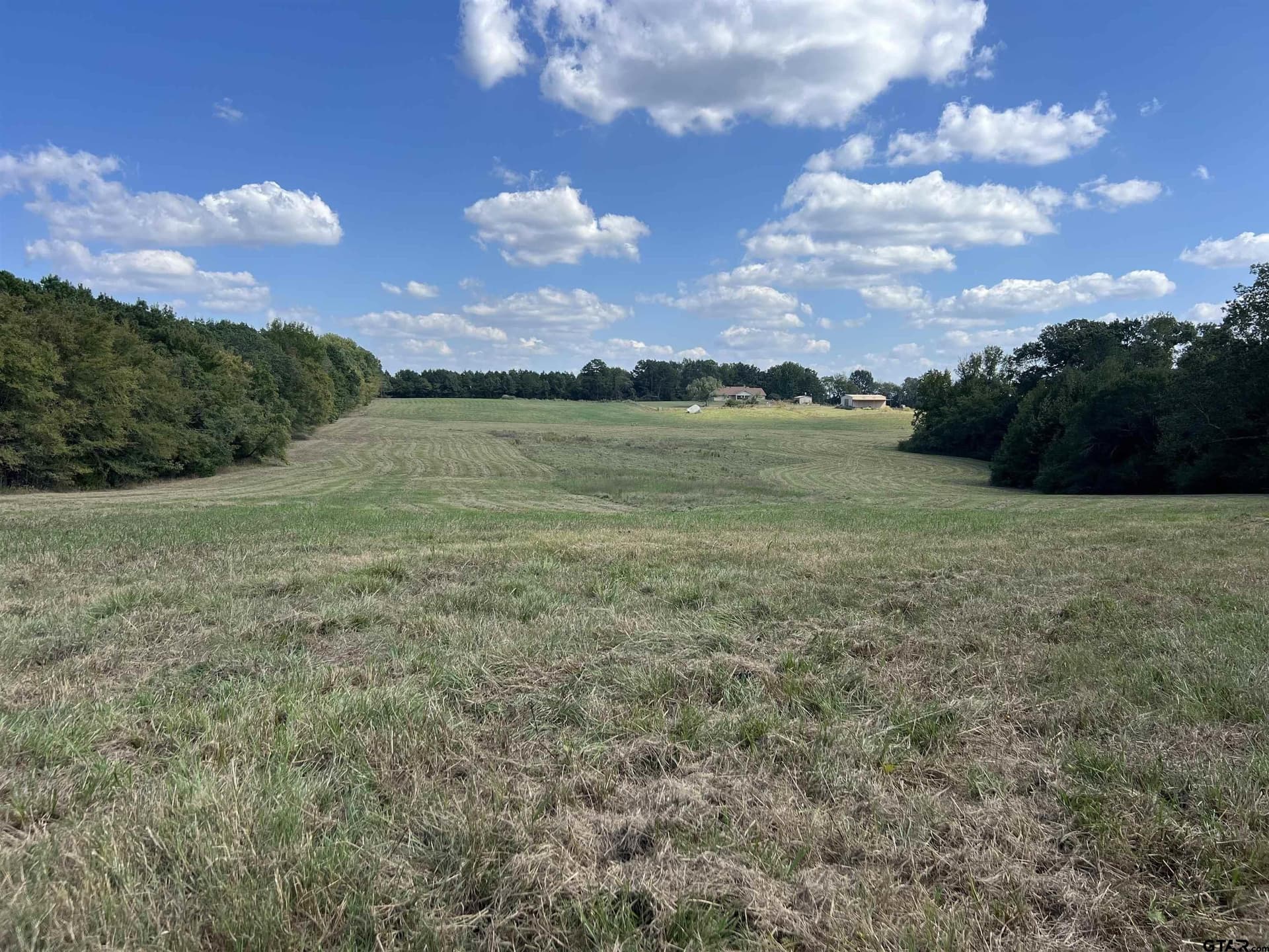 35.22 acres in Cass County - photo 9