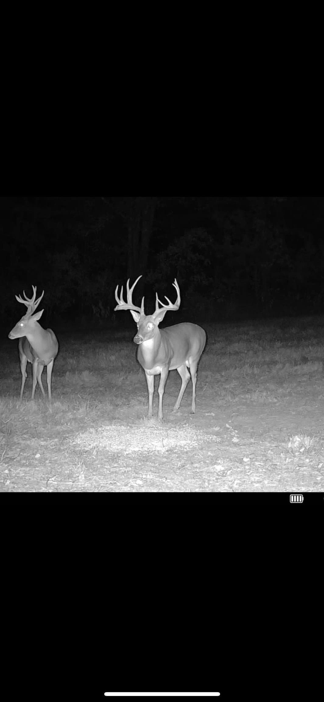 35.22 acres in Cass County - photo 20