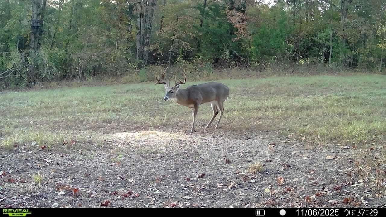 35.22 acres in Cass County - photo 5