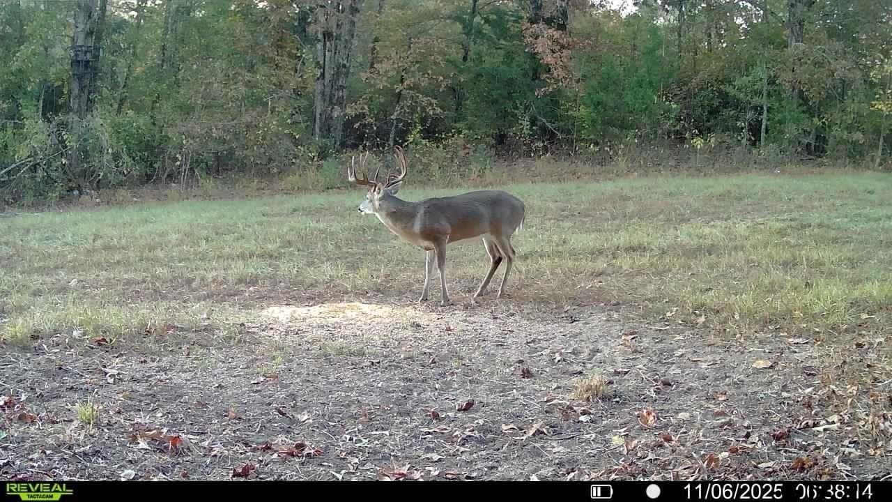 35.22 acres in Cass County - photo 8