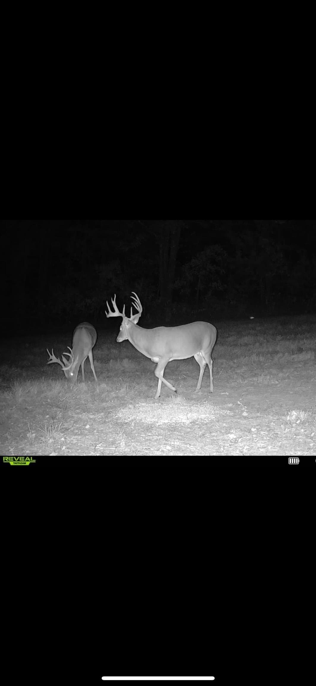 35.22 acres in Cass County - photo 18