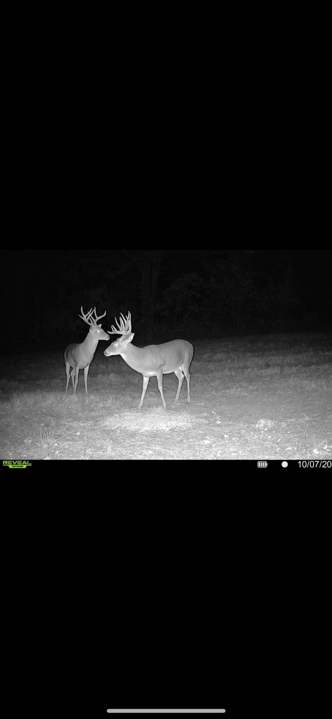 35.22 acres in Cass County - photo 24