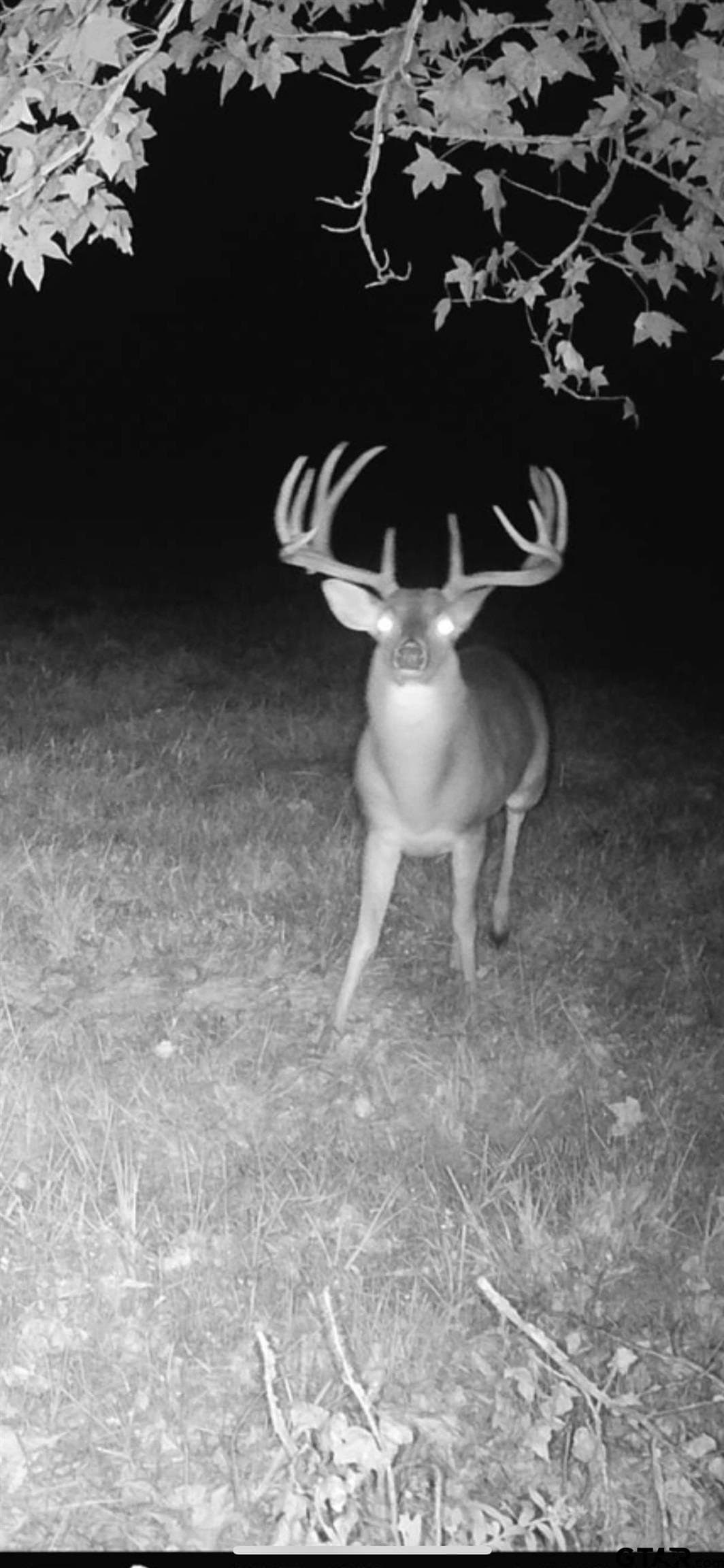 35.22 acres in Cass County - photo 26