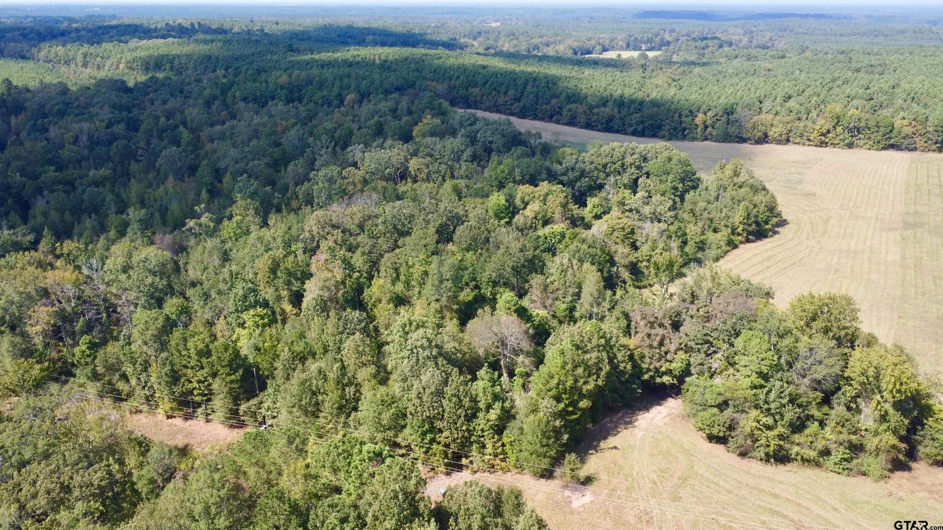 35.22 acres in Cass County - photo 30