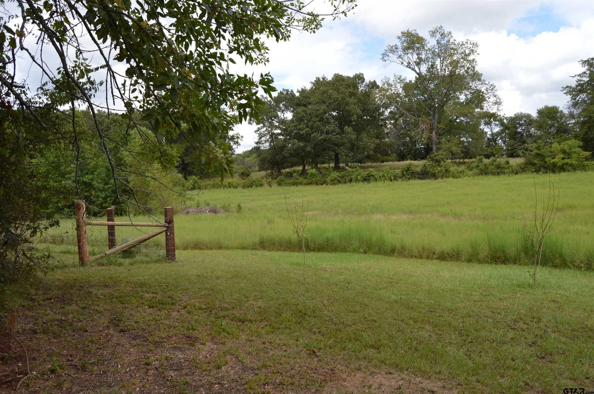 6.86 acres in Titus County - photo 36