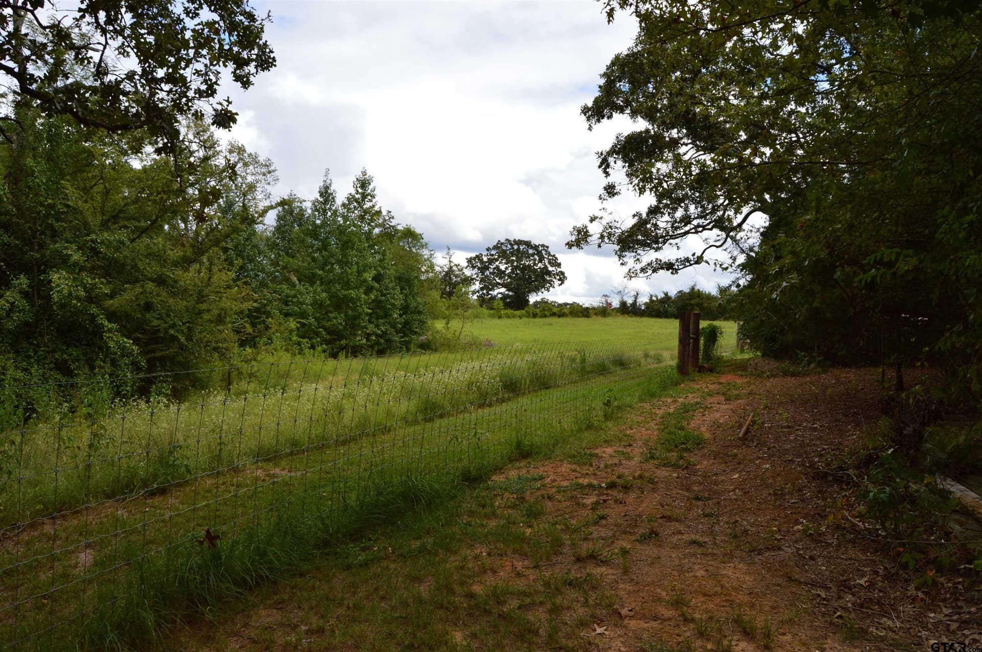 6.86 acres in Titus County - photo 33