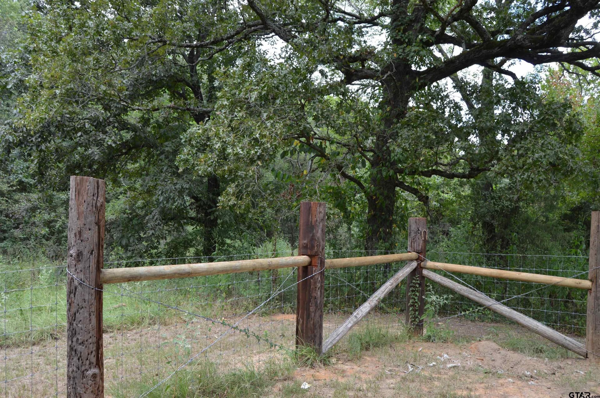 6.86 acres in Titus County - photo 32