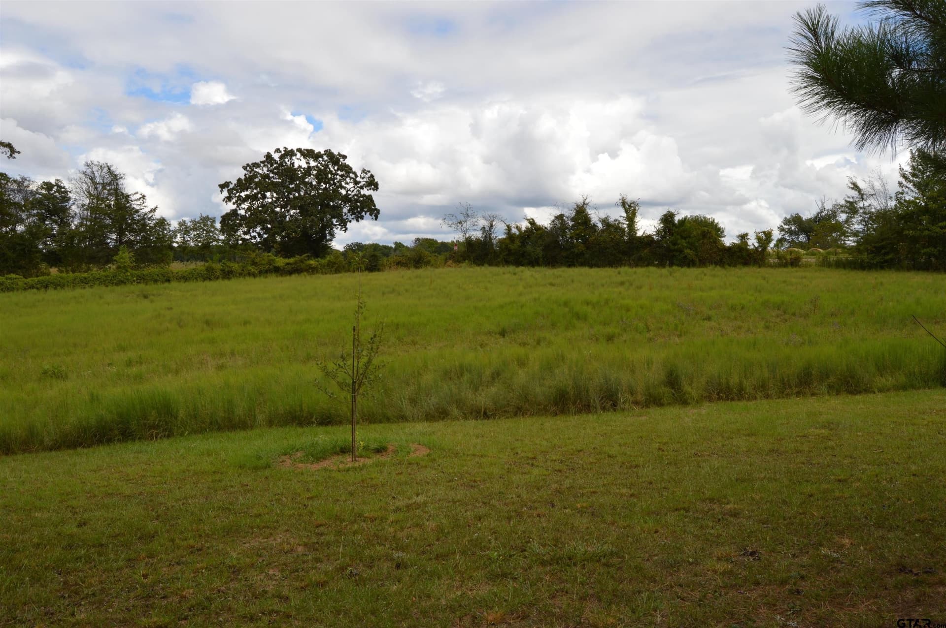 6.86 acres in Titus County - photo 37
