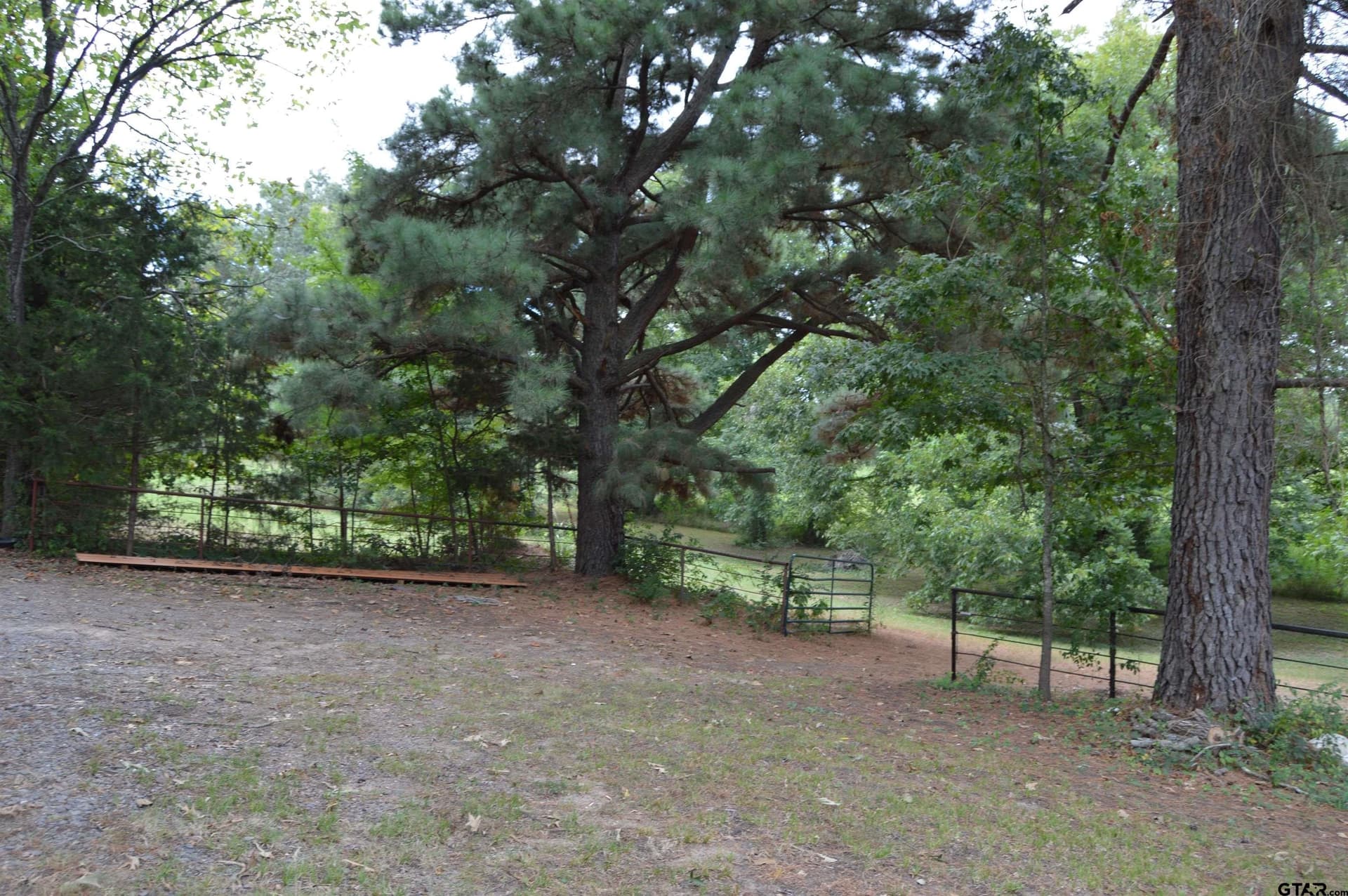 6.86 acres in Titus County - photo 38