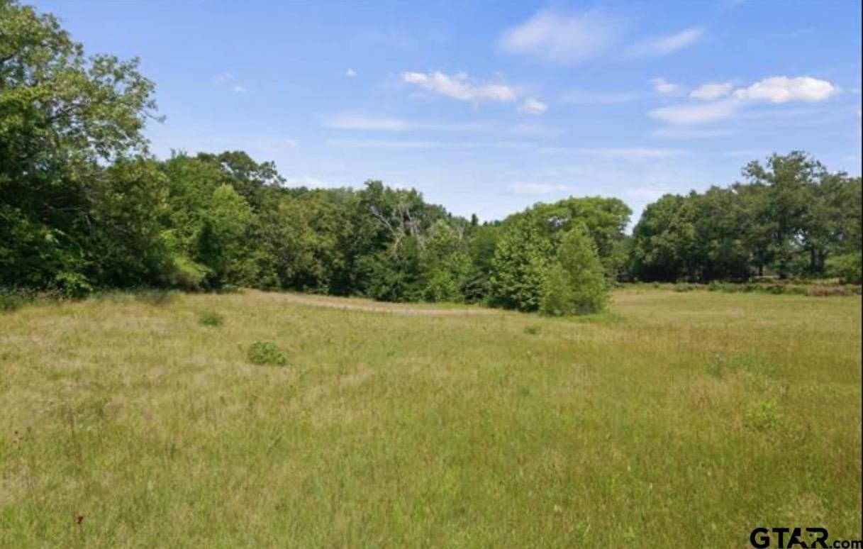 6.86 acres in Titus County - photo 29