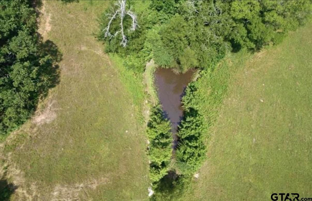 6.86 acres in Titus County - photo 30
