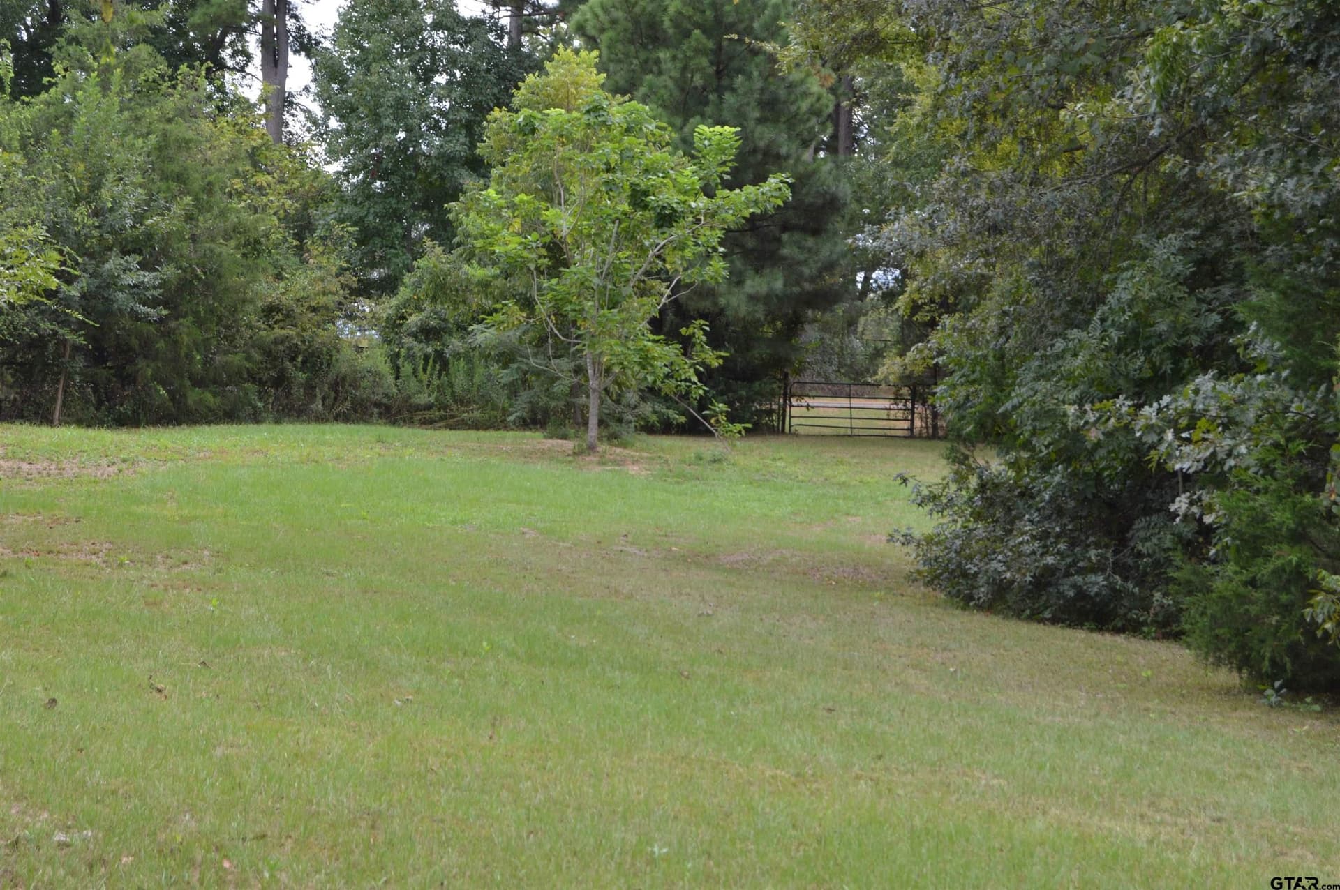 6.86 acres in Titus County - photo 31